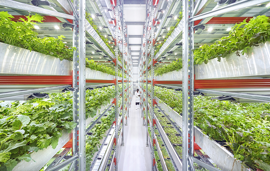 Indoor Farming will Feed the Next Economy ~ Worth | Green Alpha Advisors