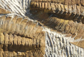 Croatan Institute Releases Clean 15 Investment Portfolio at SOCAP