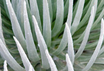 7 Questions for Solomon Halpern, President of Highlander Wealth