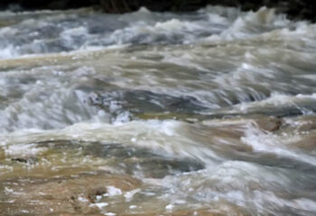 Coal, Oil & Gas: Structural Decline or Cyclical Downturn? ~ Webinar Recording