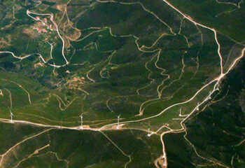 Green Alpha Welcomes Nia Global Solutions Strategy to Expand Sustainable and Impact Investing Offerings