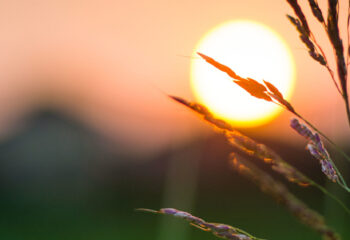 Brexit: A Practical Appendix