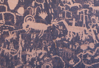 Investing in the Next Economy, A New Definition of Portfolio Risk ~ White Paper