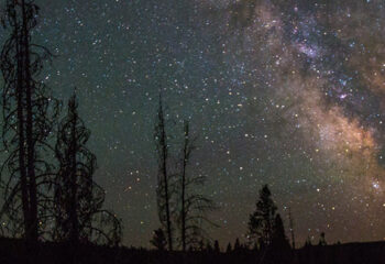 The Future of Impact Investing ~ Investment News, Video