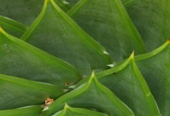 Costs of Climate Change ~ Yahoo Finance Blog