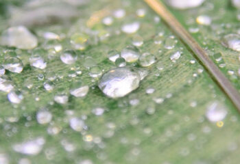 Green ETFs: Technology in Disguise ~ Barron’s