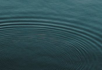Systemic Risks & Economic Solutions: Water. A Green Alpha Infographic