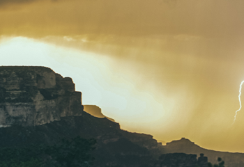 Electrifying Portfolios: Fossil Fuel Free Investing ~ White Paper