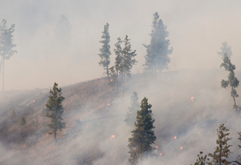 Why Advisors Should Consider Sustainable Investing in 2019 ~ ThinkAdvisor