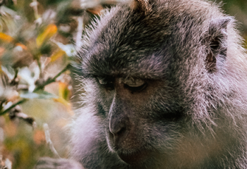 Anthropology & Markets ~ Worth