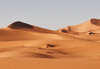 The (Unintended) Darker Side of John Bogle’s Legacy ~ Worth & Financial Times