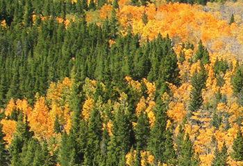 7 Questions for Sarah Brinker, University of Oregon Net Impact Graduate Chapter President