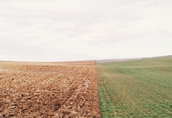 Investing in this Uncertain Climate ~ Webinar Recording