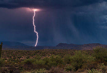 The Great Repricing: Next Economics and the Climate Crisis