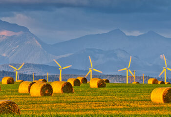 Investing for a Zero-Risk Economy ~ White Paper