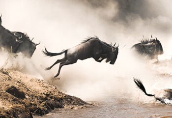 The Dawn of Abundance: Innovation Beyond Politics